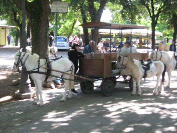 Villa Borghese park activities